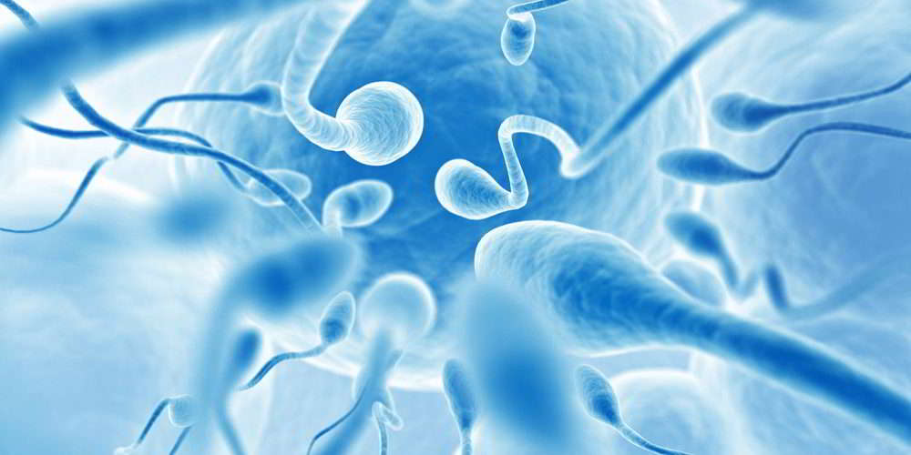 Common Causes of Male Infertility