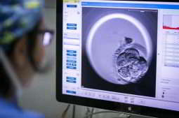 infertility rates in the UK