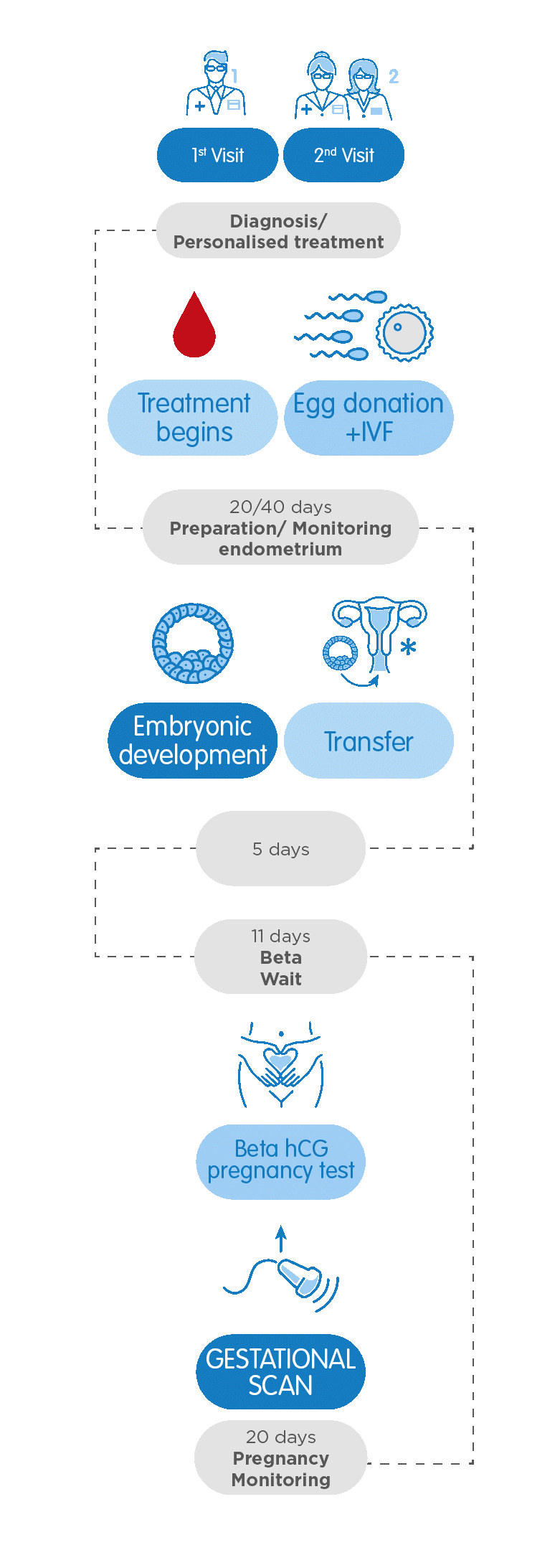 Using donated eggs from a donor in a fertility treatment IVI UK