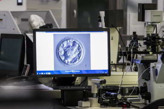 What to do after embryo transfer to increase success