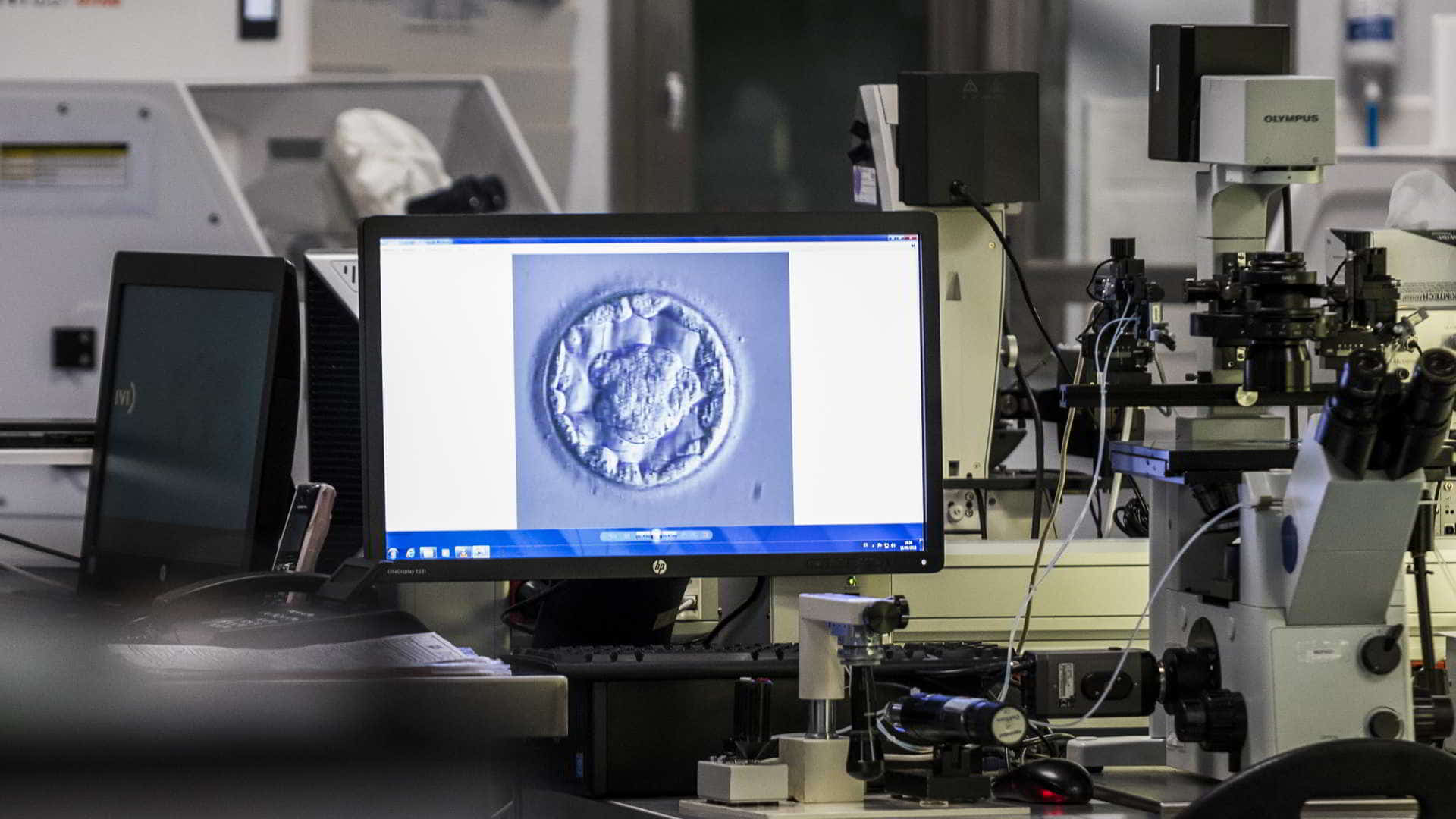 Репродуктивные технологии москва. Embryoscope. Система Embryoscope. Эмбриоскоп Краснодар.