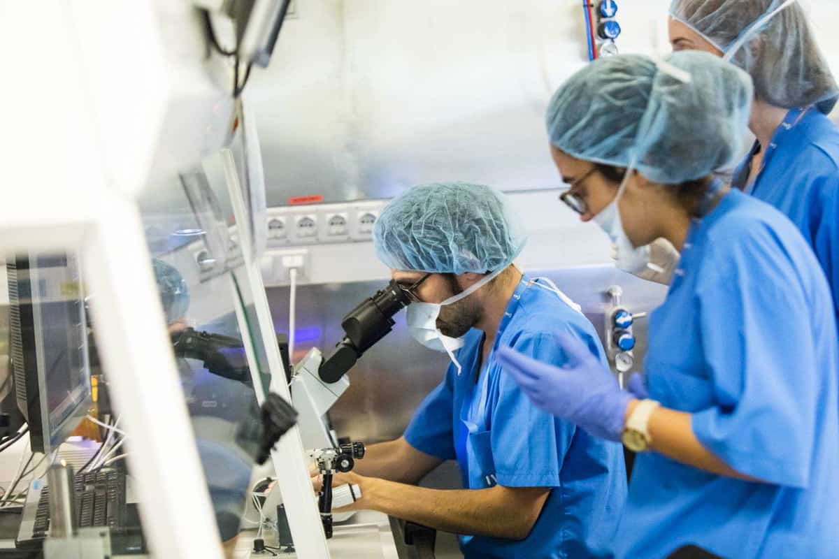 41 years ago today the first IVF baby was born IVI UK