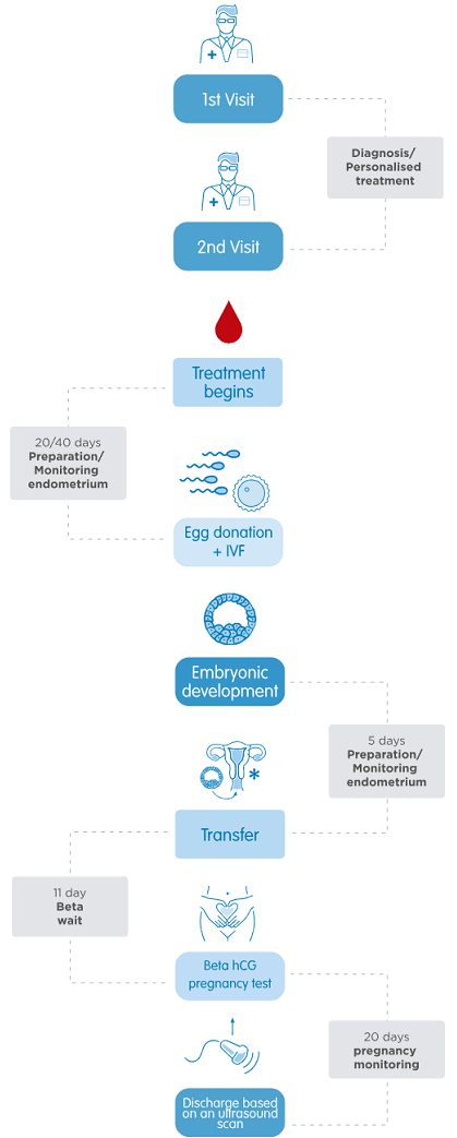 Ovodonation Process