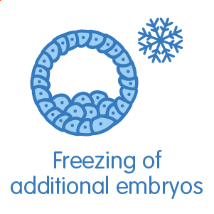Vitrification of the remaining embryos
