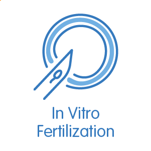 In-vitro fertilization and embryo culture