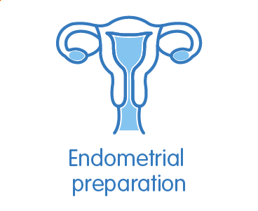 Preparation of the endometrium