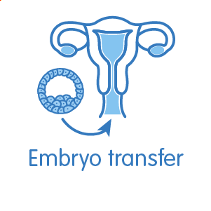 Embryo transfer procedure