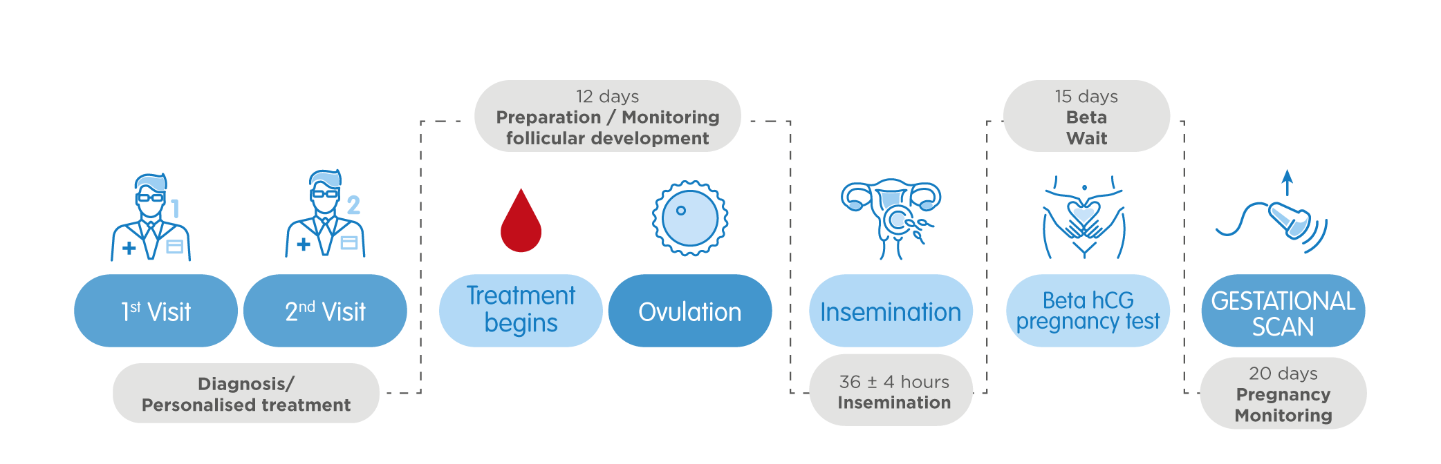 intrauterine insemination path