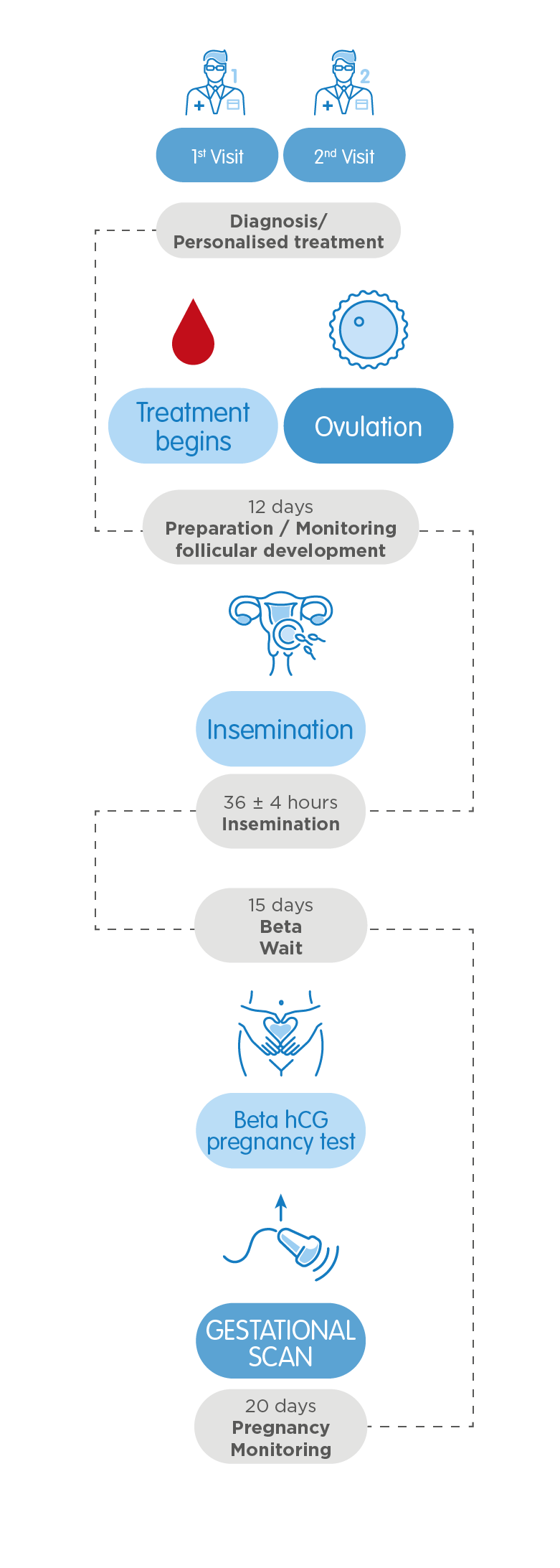 intrauterine insemination path