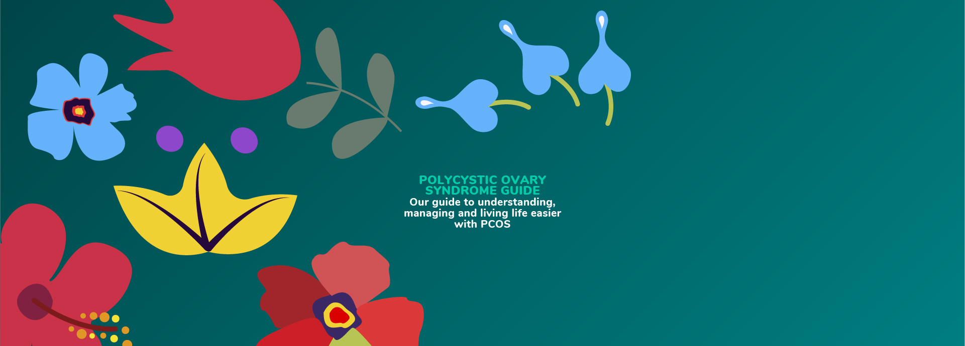 Polycystic Ovary Syndrome (PCOS) Guide