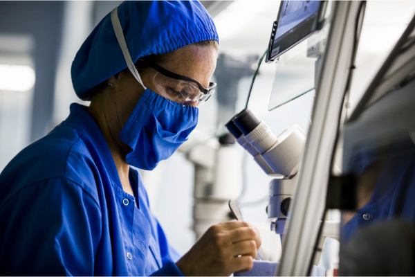  Embryo transfer