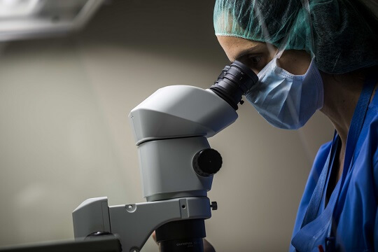 Fertilisation and embryo culture