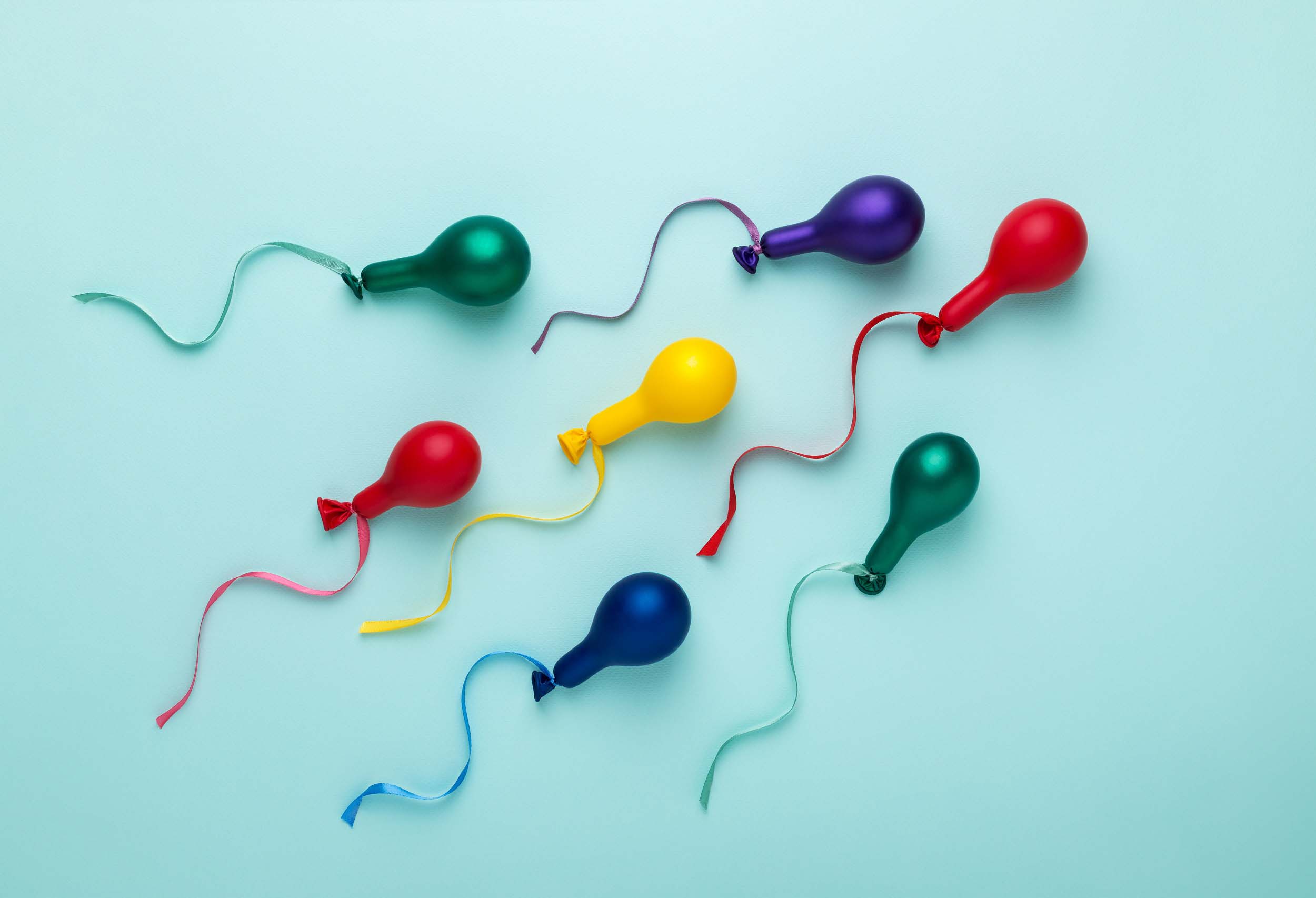 A Guide to Sperm Cells and Their Functions