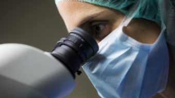 Egg Donation