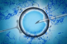 Safety in assisted reproduction treatments
