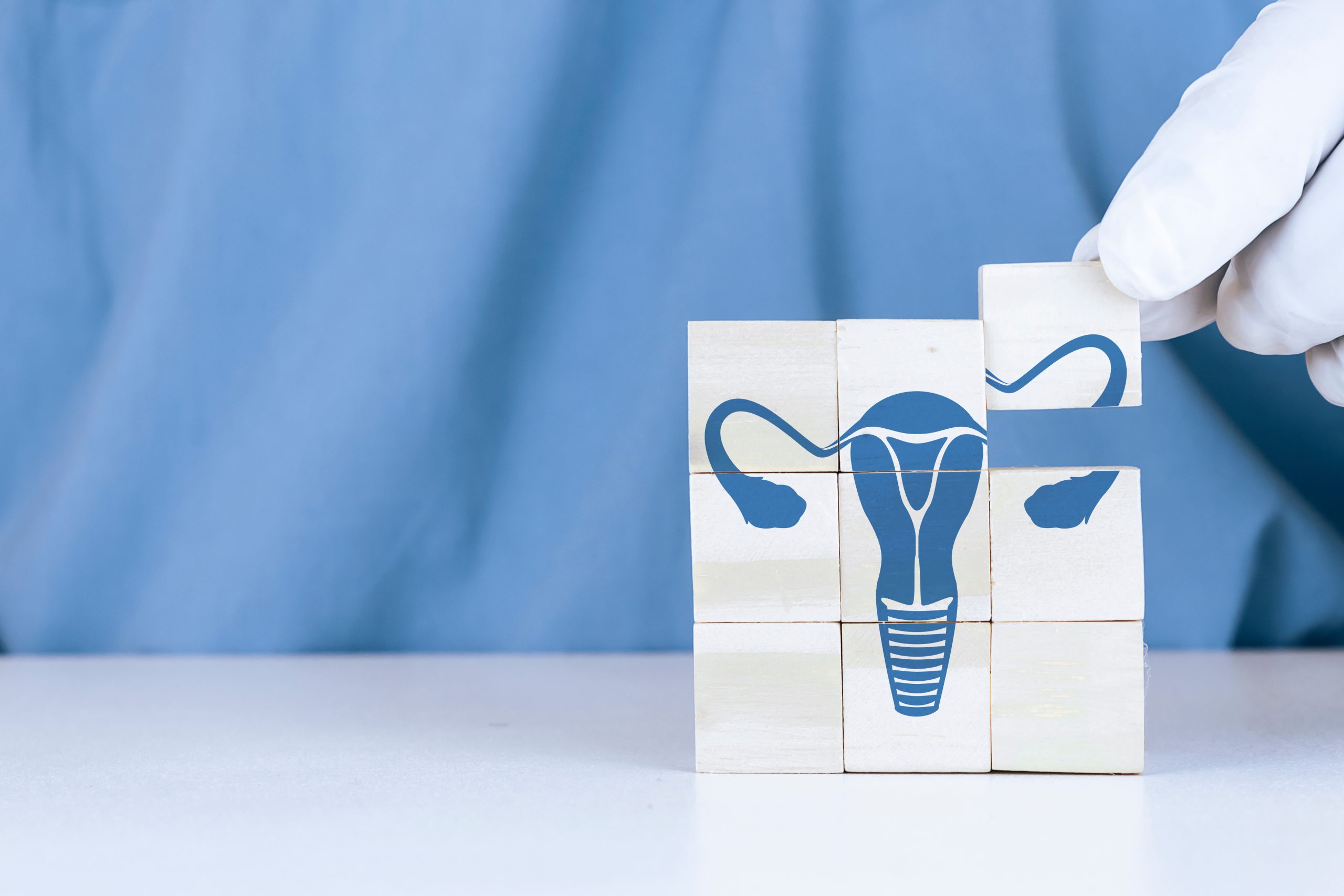 Ovarian Reserve: A Comprehensive Guide