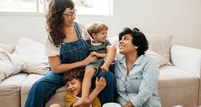 2. Reciprocal IVF (Shared Motherhood / ROPA)
