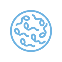 Sperm
